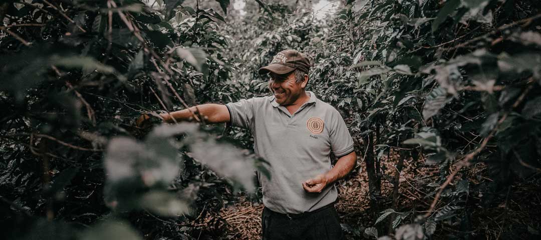 What does fair trade coffee really mean | Motorized Coffee Company